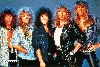 Whitesnake : whitesnakeasdasd