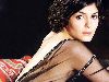 Audrey Tautou : 009785375