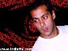 Salman Khan : salman19