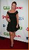 Jennifer Love Hewitt : Jennifer Love Hewitt at the CBS, CW and Showtime Press Tour party3 4884877ea0681