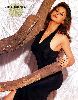 Urmila Matondkar : urmila matondkar045b