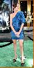 Liv Tyler : Liv Tyler lovely legshow   the Incredible Hulk premiere7 484d4673c6d5f