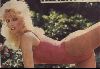 judy landers : 18