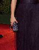 Hayden Panettiere at the 66th Annual Golden Globe Awards 2009