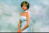 princess diana spencer : 1