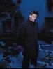 Actor david boreanaz : 12