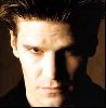 Actor david boreanaz : 18