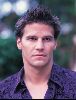 Actor david boreanaz : 21