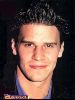 Actor david boreanaz : 24