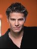 Actor david boreanaz : 26