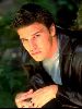 Actor david boreanaz : 31