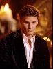 Actor david boreanaz : 41