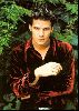 Actor david boreanaz : 9