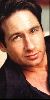 Actor david duchovny : 10