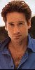 Actor david duchovny : 21