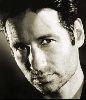 Actor david duchovny : 28