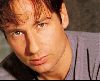 Actor david duchovny : 33