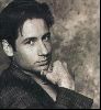 Actor david duchovny : 81