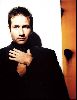 Actor david duchovny : 93