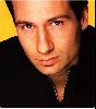 Actor david duchovny : dd11