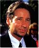 Actor david duchovny : dd36