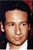 Actor david duchovny : dd64