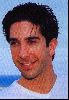 Actor david schwimmer : 25