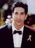 Actor david schwimmer : 41