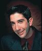 Actor david schwimmer : 43