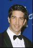 Actor david schwimmer : 44