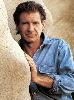 Actor harrison ford : harrison10