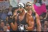 Actor hulk hogan : 2