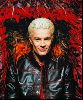 Actor james marsters : 63