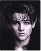 Actor leonardo dicaprio : lc6