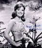 Actress dawn wells : 2