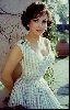 Gina Lollobrigida