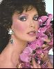 Actress jaclyn smith : 81