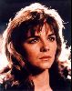 Actress kim cattrall : kim cattrall 01