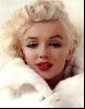 Actress marilyn monroe : 24