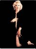 Actress marilyn monroe : mm18