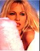 Actress pamela anderson : pal10