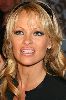 Actress pamela anderson : pal116