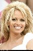 Actress pamela anderson : pal148