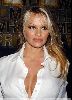 Actress pamela anderson : pal20