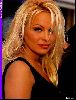 Actress pamela anderson : pamela anderson 004