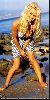 Actress pamela anderson : pamela anderson 014