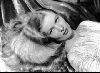 Actress veronica lake : 28