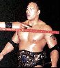 wrestling the rock : the rock 13