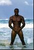 male model tyson beckford : 32