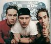 music band blink 182 : 6